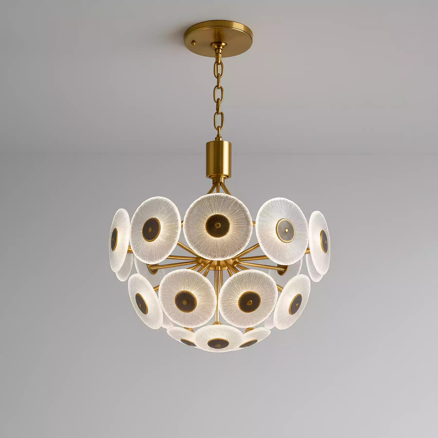 Pollen Disc Ceiling Chandelier